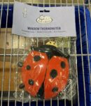 Assorted Merchandise: 92% Off Original Retail